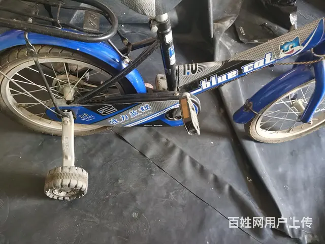 真心实意 - 图片 1