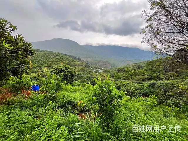 从化区温泉旅游区附近70亩果园休闲庄园整体转让 - 图片 1