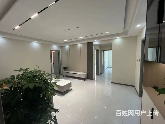 千亩园西区凯旋百年4楼精装修未 普通住宅 精装修 - 图片 5