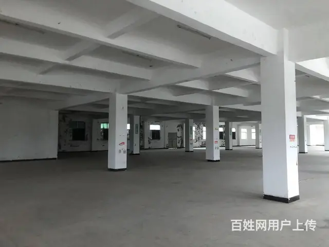 厂房出租 靠近大马路 交通便利 厂房宽敞 进出大车方便 - 图片 5