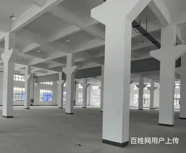 浮桥工业区2000平独栋厂房 两证齐全 电大 价格低 - 图片 5