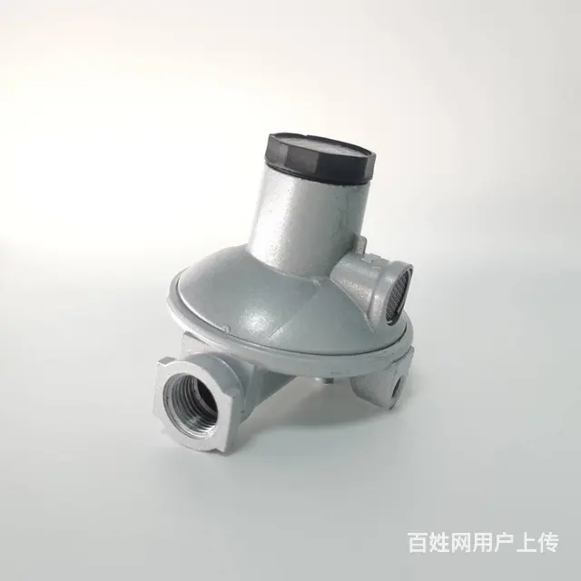 卡瓦尼亚燃气调压器738民用锌制中低压天然气减压阀 - 图片 1