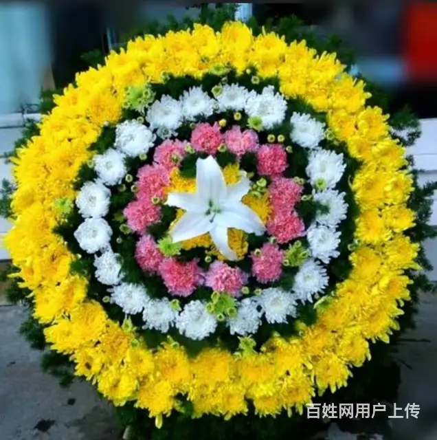 合肥裕丰花市菊花批发零售丧事花篮祭祀追悼会鲜花菊花 - 图片