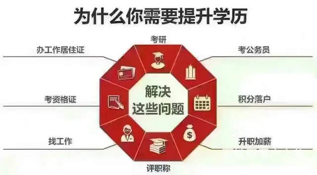 姜堰上元成考本科学位英语一对一指导，成考的学位英语 - 图片
