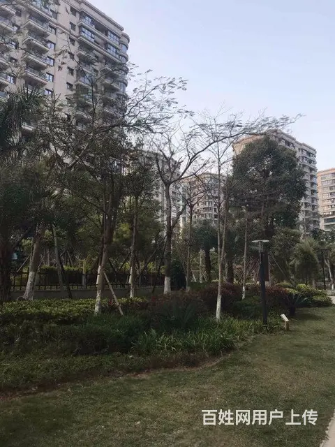 五缘湾源昌宝墅湾！强！平层三房业主自住装修！厦门二中对面！ - 图片 12