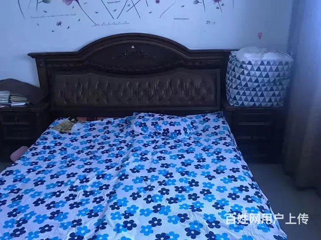 房屋出租 - 图片 1