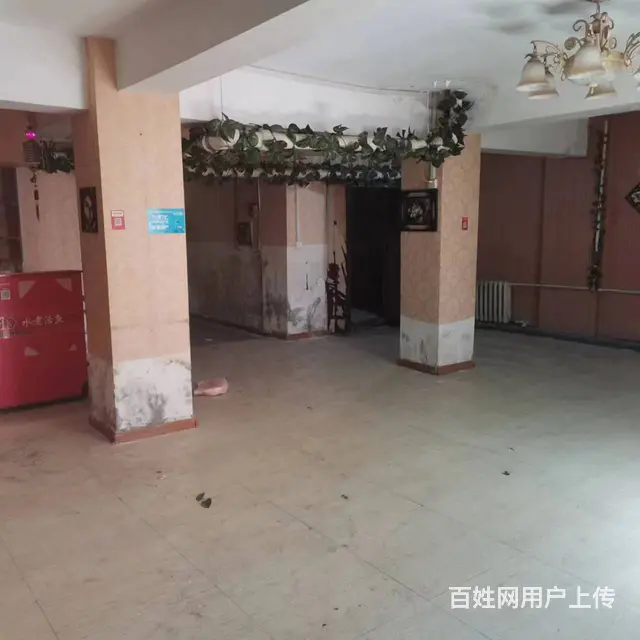【搞定了！】南岗区复华四道街与教化街交叉口门市出售 - 图片 4