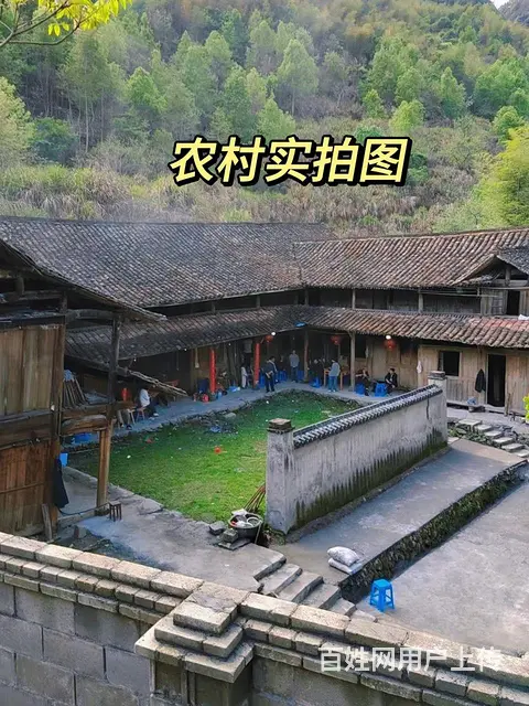 自己老家野蜂蜜，不是养蜂人，就卖点自己家真蜜 - 图片 5