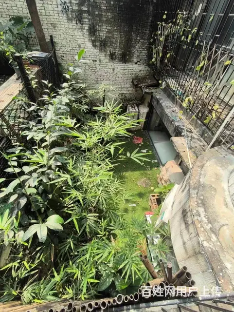 （51旺铺推荐）国贸梦苑小区68平阁楼出租 - 图片 12