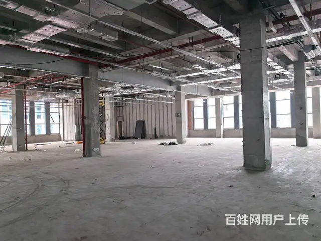 高新区 3100平一楼标准化厂房出租  超长免租期+税收减免 - 图片 5