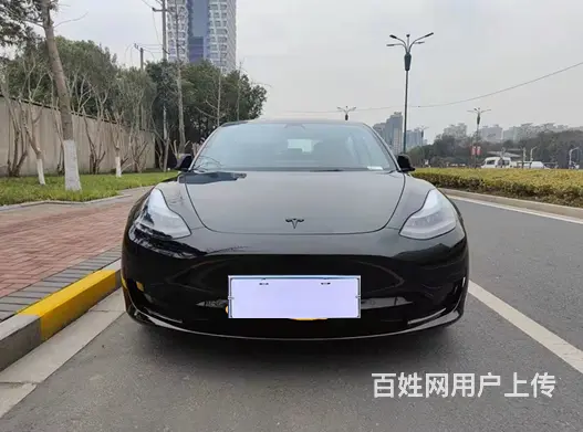 特斯拉Model 3 2020款 标准续航后驱升级版 - 图片 1
