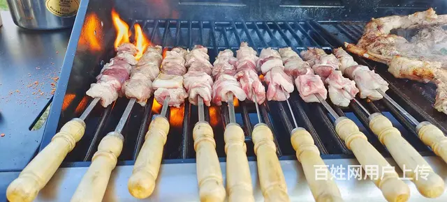 沈阳冷餐、沈阳茶歇、中西式自助餐、BBQ烧烤小火锅 - 图片 7