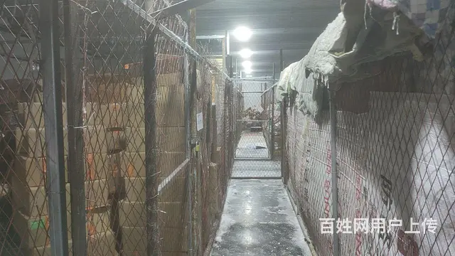 经区长峰黄海路多间冷库出租 分租 - 图片 4