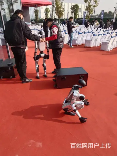 菏泽网红游乐设备vr360旋转设备大型VR过山车体 - 图片 11