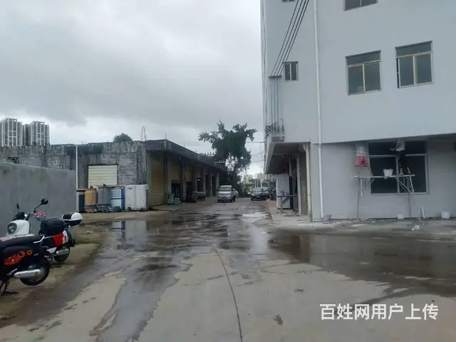 （5旺铺推荐）椰海大道红星村250平办公仓库带院子首次出租 - 图片 8