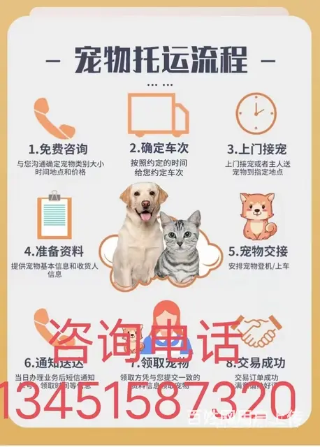 新消息（临沧宠物托运猫狗活体物查询}/今日/热点2022信息 - 图片 2