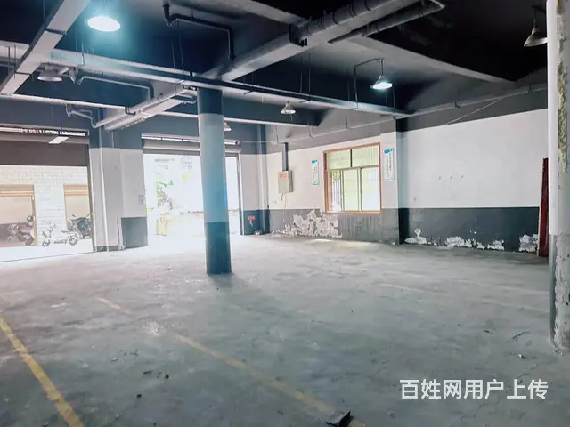 （老板本人）雷锋大道边青山镇厂房仓库房东优价直租  6337 - 图片 6