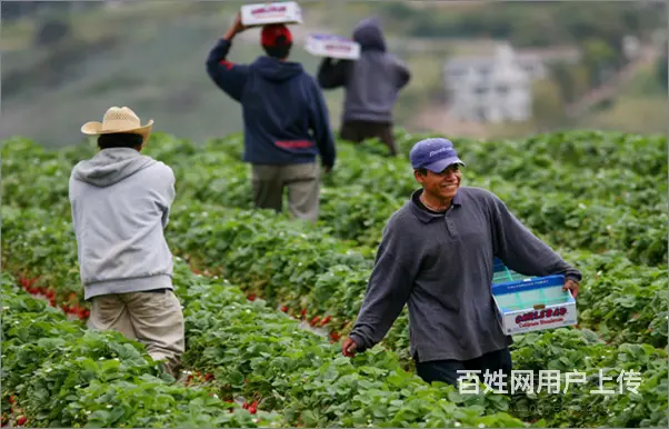 澳大利亚新西兰（保签）年薪60万不成功退全部费用 - 图片 2