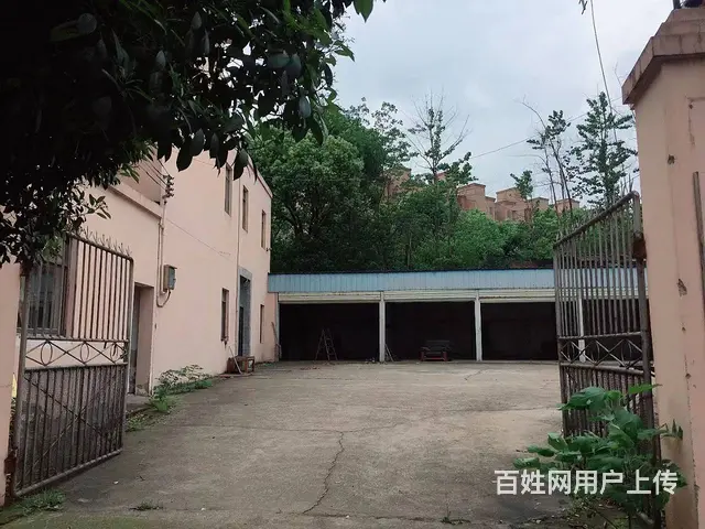 （老板本人）岳麓区独门独院厂房➕办公楼优价出租  6004 - 图片 2