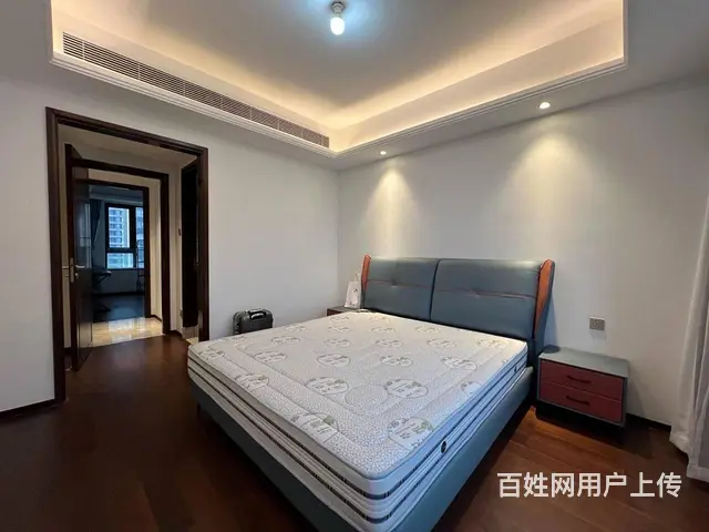 东湖金茂府 4房2厅2卫  南北通透 近地铁武汉站 - 图片 6