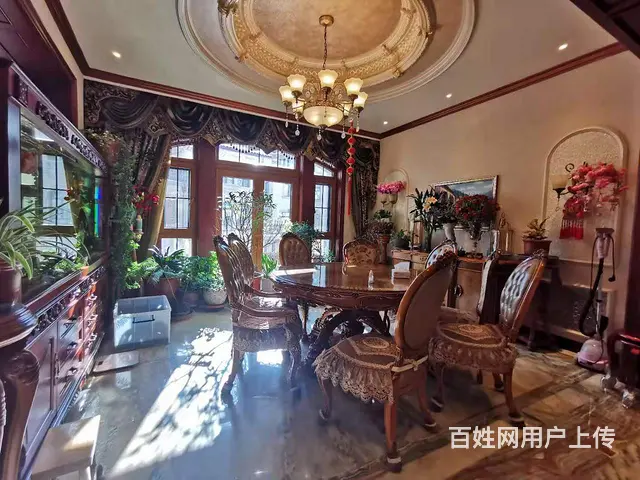溪岸艺墅一带二叠墅使550米+300米花园豪装2车位 - 图片 5