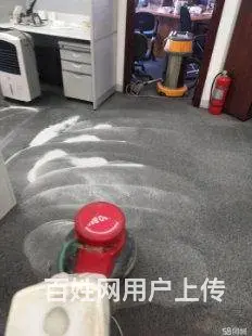 苏州专业地毯清洗 羊毛纤维地毯清洗 地毯除螨吸尘 - 图片 3