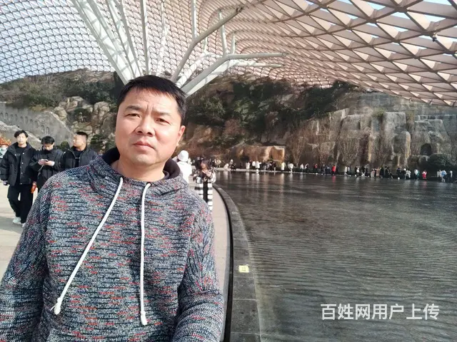 寻找生活伴侣 - 图片 2