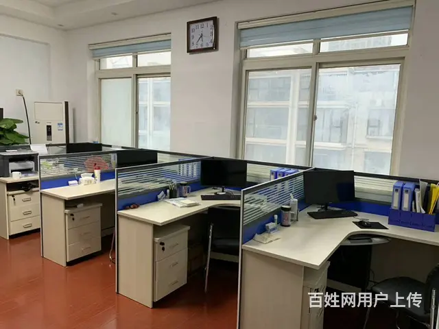 公司拥有数十年的从业经验，有着专业的会计服务团队 - 图片 11