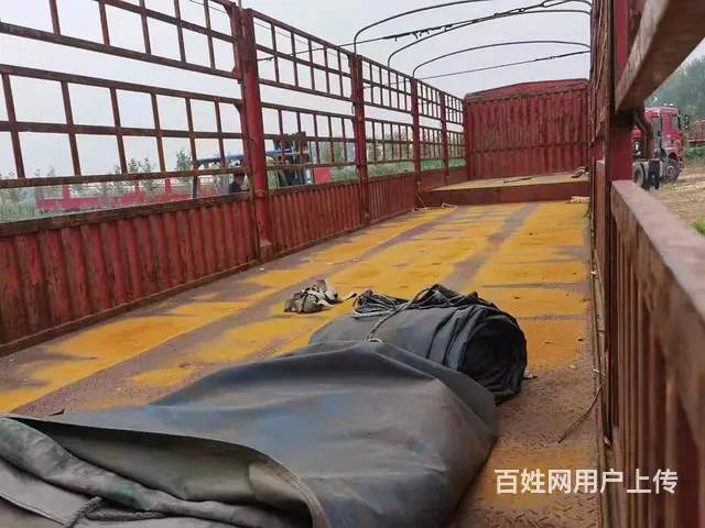 17年2月高低花蓝挂车 - 图片 4