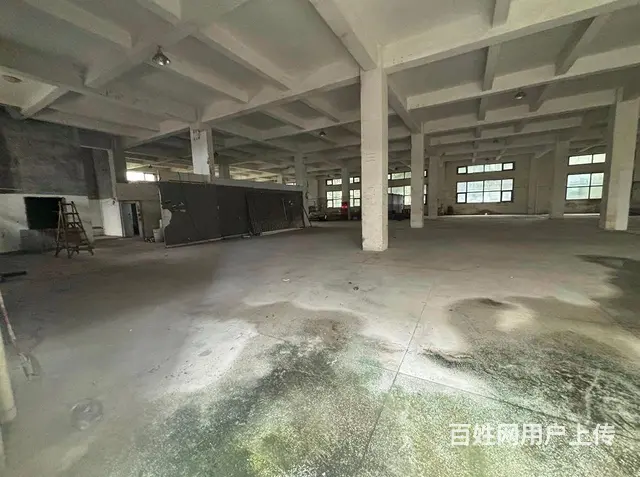 横琴独门独院厂房招租 空地1.7万平米 花园空地免 - 图片 4