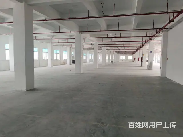 D9 I35 O6OO 83II晋江高速路口磁灶印刷基地厂房 - 图片 3