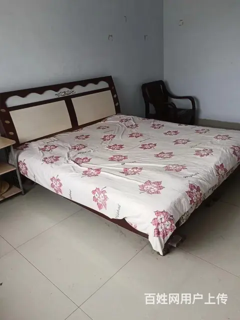  - 图片 8