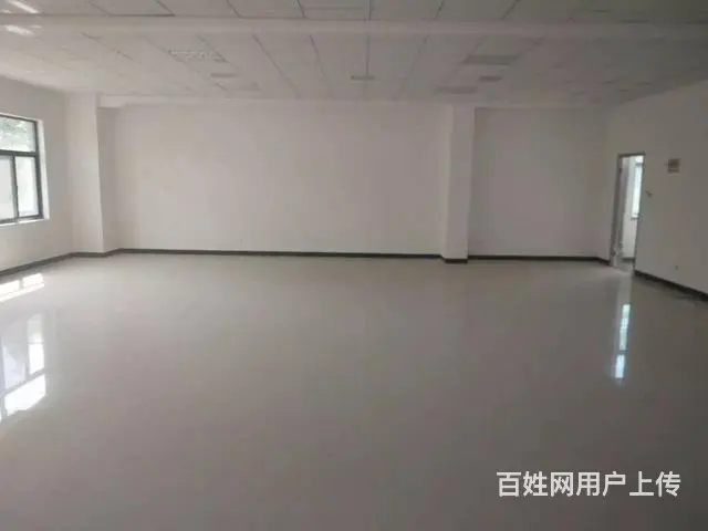 王辛 15150055440 随时恭候你的咨询 - 图片 5