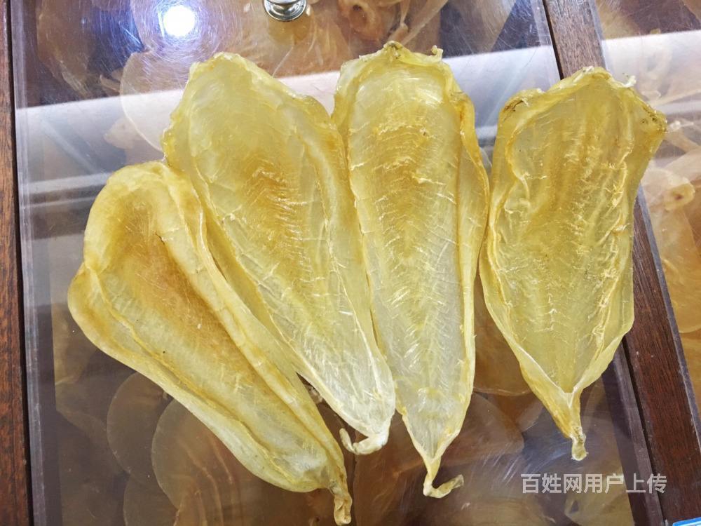 成都那種魚膠好20頭白花膠