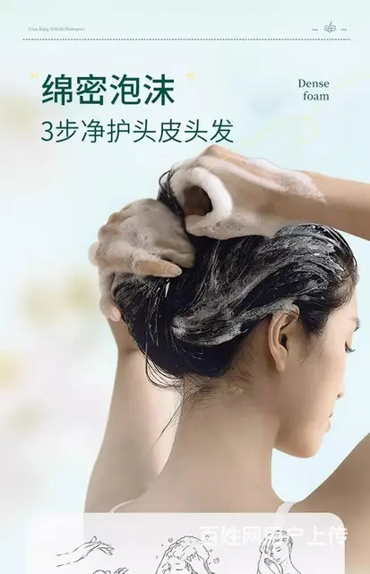 狮王欧希帝去屑洗发水批发代理一件代发 - 图片 9