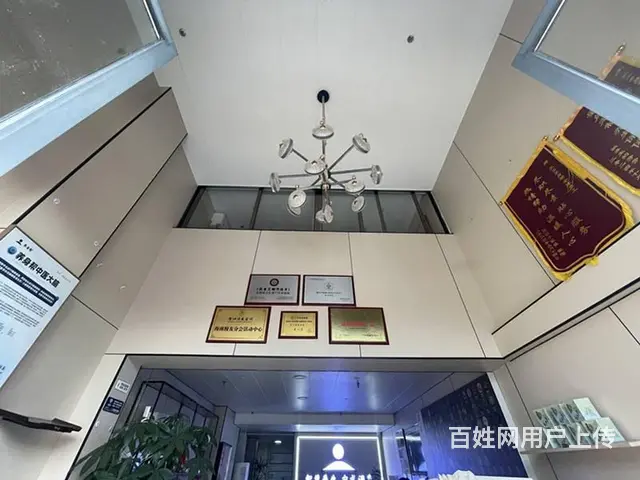 （51旺铺推荐）荔枝沟星域180平整栋3层铺面转让 - 图片 9