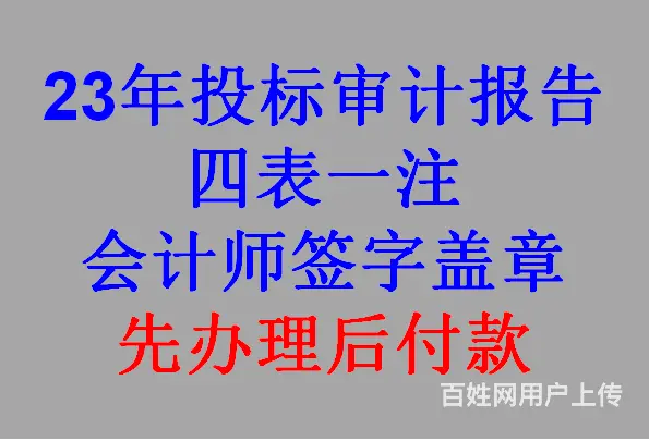 公司近三年财务审计报告，含资产负债表利润表现金表 - 图片 3