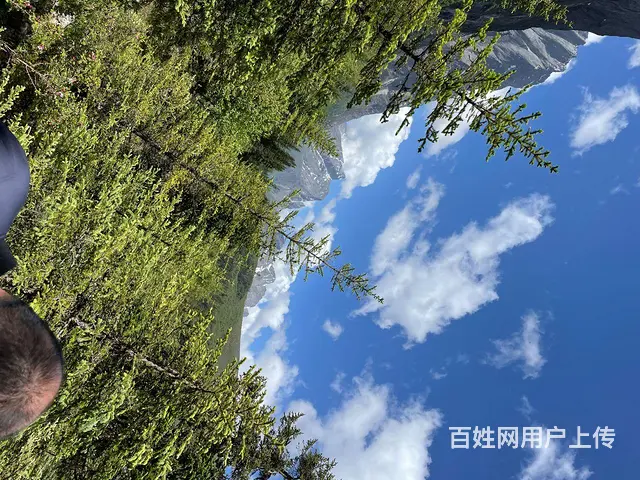卧龙区宏阳山庄民宿 - 图片 9
