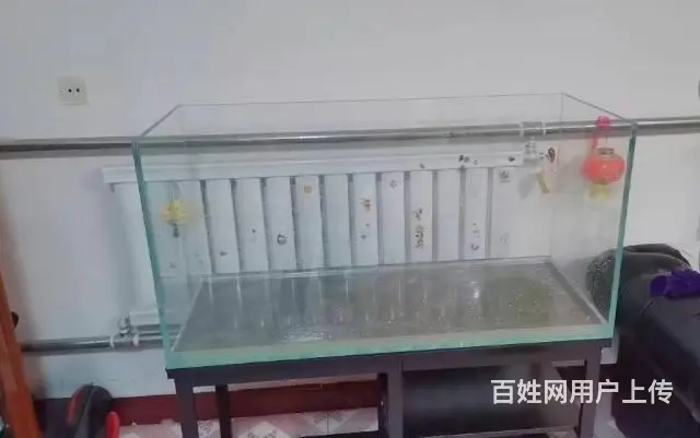 鱼缸 - 图片