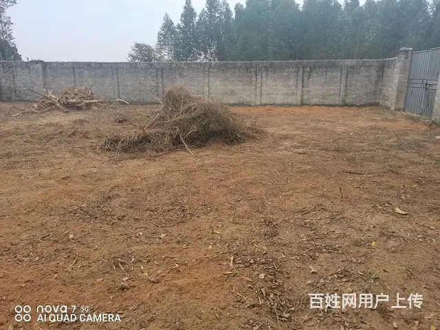 出租商业房地 - 图片 1