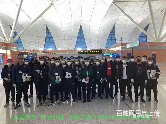 寻代理西宁出国劳务签证办理电话 - 图片 1
