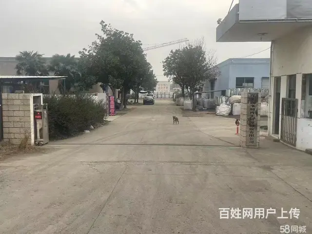兴化周庄厂房出租（可整租可分租） - 图片 5