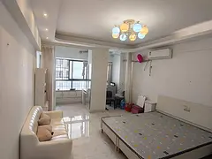 龙湖中心 5栋公寓 普通住宅 精装修