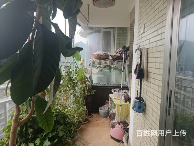 三江花园精装修四房二卫拎包入住可按揭随时看房环境舒适 - 图片 11
