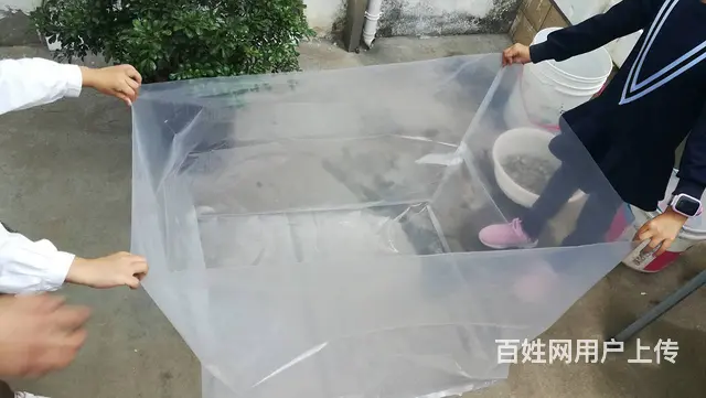 青岛铝膜编织布镀铝编织布铝箔编织布铝箔真空袋铝膜真 - 图片 6