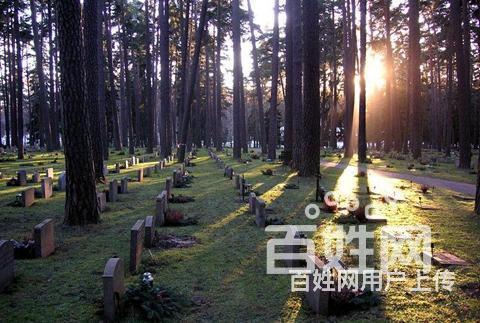 北京宠物 北京宠物服务/配种 北京宠物殡葬 品种暂无 公母暂无 年龄