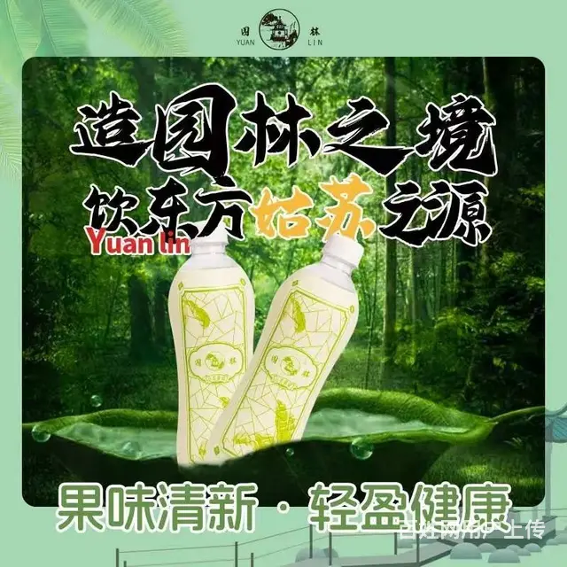 园林牌橙味汽水经典苏州口味汽水童年味道 - 图片 3