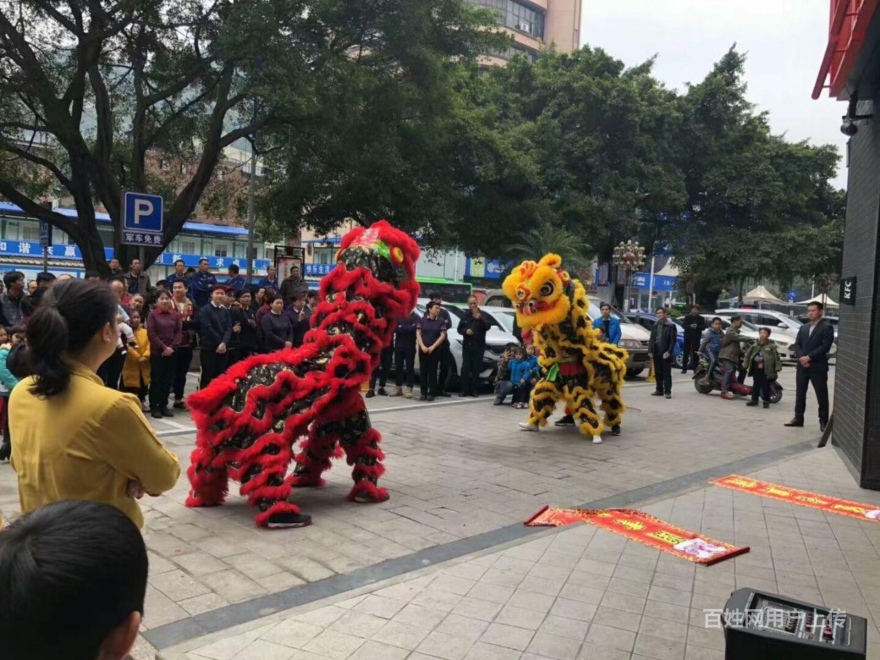 广西省柳州市专业舞狮队