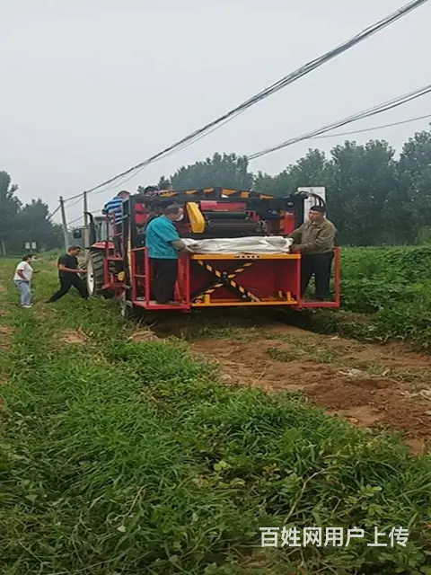 自动墩包土豆红薯联合收获机  挖掘输送除杂装包一体 - 图片 2