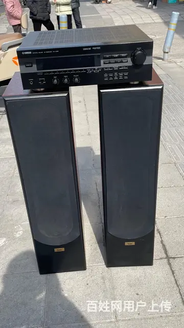 丹麦原装进口至尊XL170三分频双6.5寸发烧音箱 - 图片 5